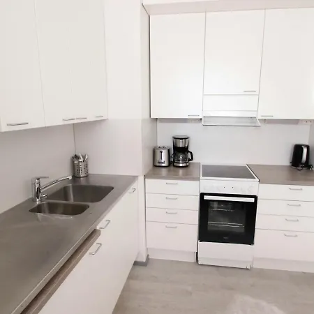 Apartment And Spacious For 5 Aanekoski